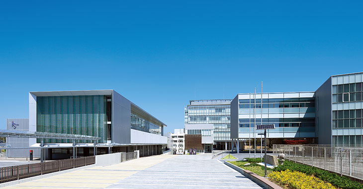 淑徳大学
